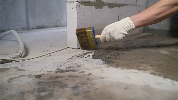 SJ Waterproofing Pros Waterproofing coverage map for Tuscaloosa, AL and surrounding area